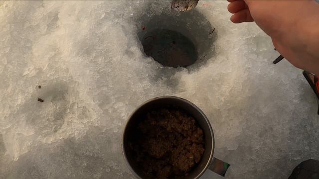 Реакция рыбы на АЛЬБУМИН