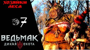 ? Прохождение Ведьмак 3 Дикая охота ❼: Хозяйки леса, ведьмы, Волколак | The Witcher 3 Wild Hunt