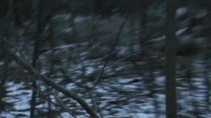 Вариант установки ящичной ловушки на куницу, соболя, хоря...