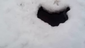 Антиобледенитель пруда