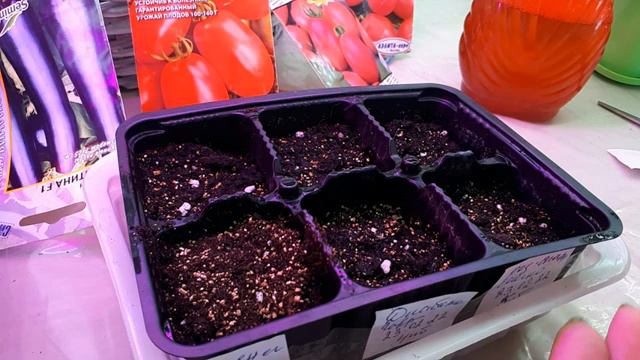 23 февраля 2022 г.второй посев томатов, детерминантных смотреть онлайн