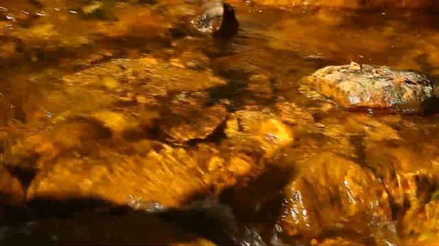 Национальный парк "Таганай" смотреть онлайн