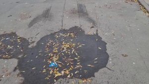 Москва, метро Борисово 2023 10 25_11:04:41