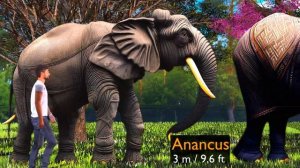 Elephants size comparison | mammoth  size comparison ?