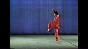 Чанцюань гуйдин таолу - учебная классика ушу