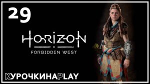 29: Прохождение без комментариев | Horizon Запретный Запад