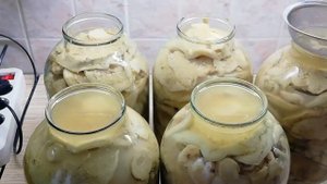 Грузди после 45 дней посола в рассоле. Какие выводы я сделала.
