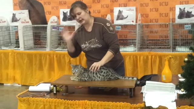 Роял Канин Гран-При, Одиссей смотреть онлайн