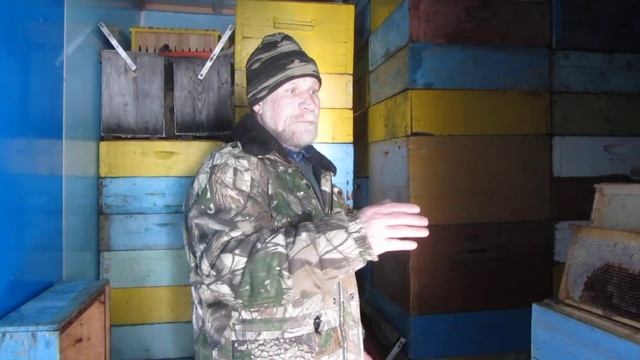 Пчеловодное хозяйство:  Мигаль Виктора Валентиновича.