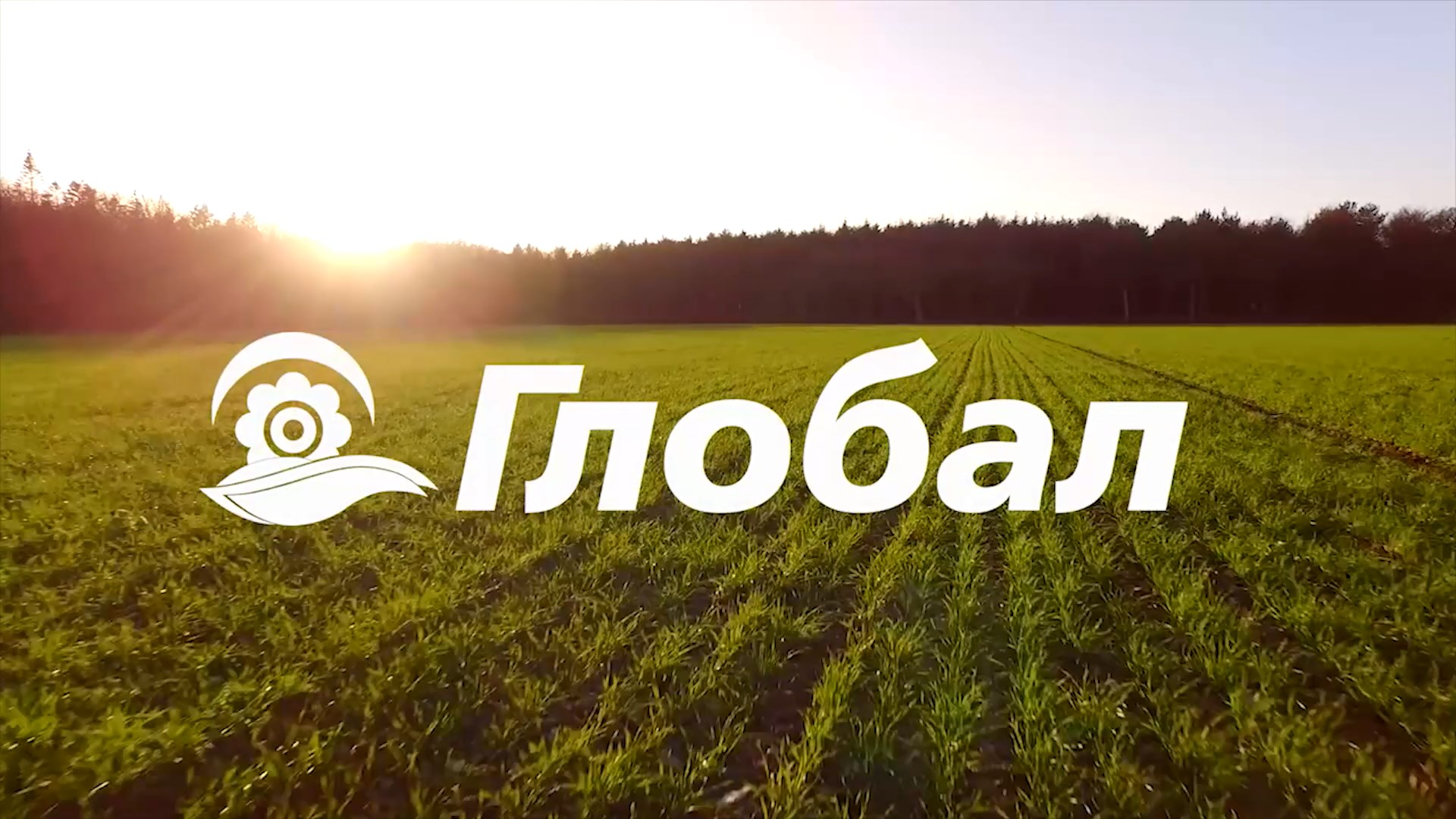 Глобал
