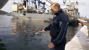 Ловля корюшки с пирса во Владивостоке. Рыбалка в Приморском крае. 28.05.2018