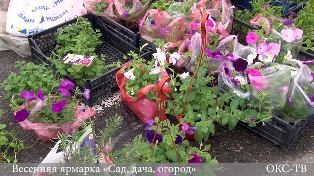 Весенняя ярмарка «Сад, дача, огород» смотреть онлайн
