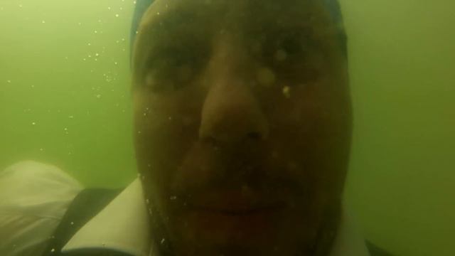 ПОД ВОДОЙ С ГУСЕМ смотреть онлайн