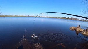 За язями на Фишкаяке ЭВО