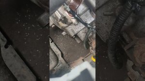 жёсткая педаль сцепления. решил проблему за 5 минут. Nissan Almera n16