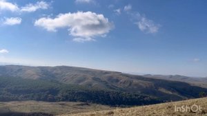 Хорошо отдохнули, собрали много грибов и очень хорошо провели время