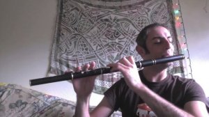 The Congress Reel - Irish Flute - slow/fast