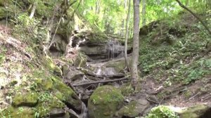 Природа в Никитино Мостовской район Краснодарский край предгорье Кавказа. Живите в Кайф!.