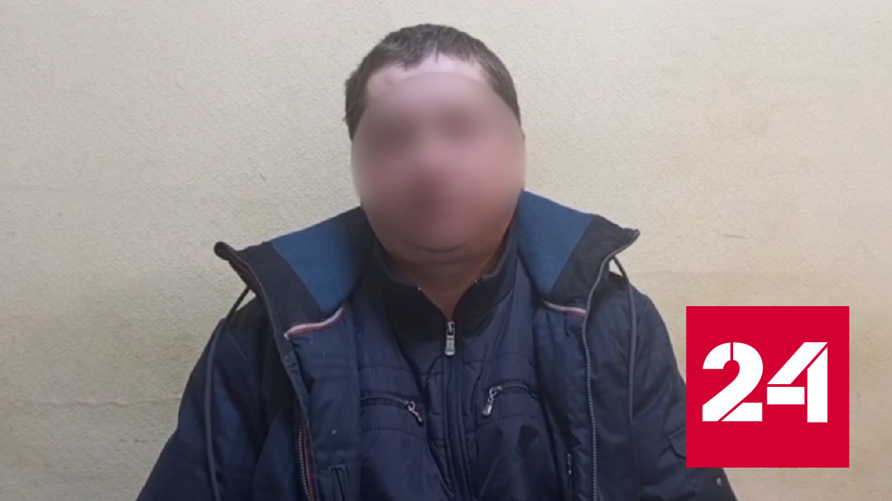 Родитель выбросил собаку своей дочери с 17 этажа - Россия 24