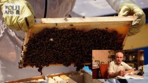 #Кашковский В.Г. Сборка гнёзд в зиму - Кемеровская система