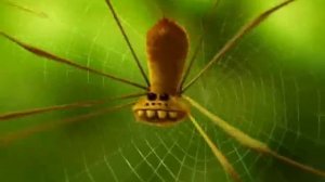 Проказы Божьей Коровки 5