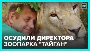 В Крыму осудили директора зоопарка, где тигр откусил палец ребенку - Москва 24