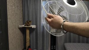 Вентилятор напольный Zanussi ZFF-901