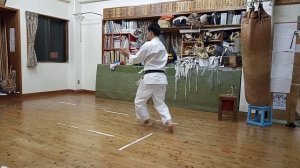 Seiryu (Seryu) kata Uechi ryu karate Okikukai Awase dojo in Okinawa city