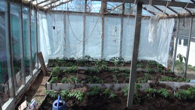 Томаты 2018 май. смотреть онлайн