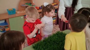 Логопедическое занятие на тему "Путешествие на лесную полянку"