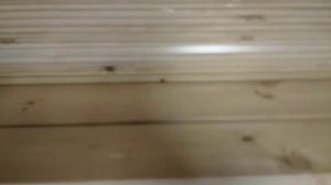 Вагонка Штиль из сосны