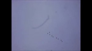 Перелёт лебедей (На природе в Коми!)