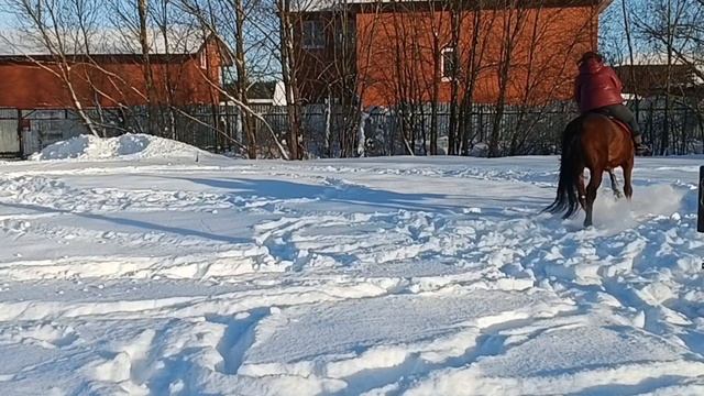 Хаз.mp4