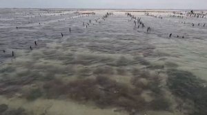 ЗАНЗИБАР 2023 Влог - Дорога на Пляж #Jambiani, Виды, Отель за 50€. #Танзания #Занзибар