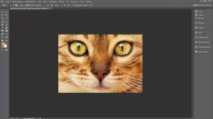 В фотошопе пропал размер кисти