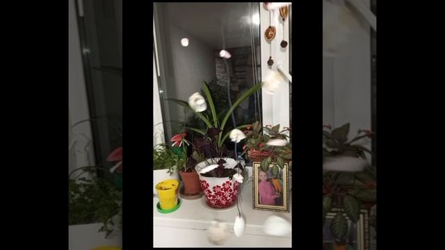 когда посетило вдохновение