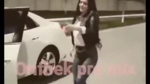 диг диг майсо