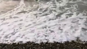 Секретные эксперименты в советских лабораториях.