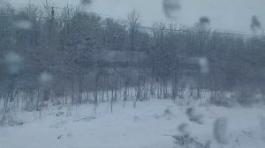 Тихорецк-Краснодар электрички 23 января 2022 г.