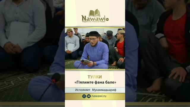 Тулки.Губден смотреть онлайн