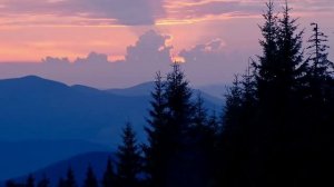 Бандура "Вечірня" . Ukrainian folk instrument - Bandura.