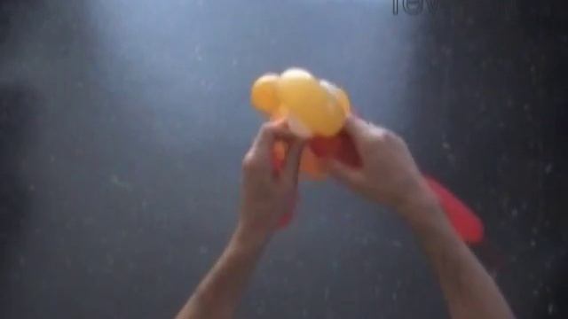 Утка из шариков. Гусь из шариков. Страус из шариков смотреть онлайн