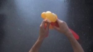 Утка из шариков. Гусь из шариков. Страус из шариков