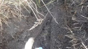 ВЫТАЩИЛ НЕЖДАНЧИК! КОПАЮ МЕДЬ НА ЗАВОДСКОЙ СВАЛКЕ С МЕТАЛЛОИСКАТЕЛЕМ.