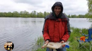 Москва река  Коломна  Крупный лещ на фидер и донки  Отчет о рыбалке