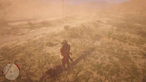 Rio Grande Turkey rdr2 (Риограндская дикая индейка)