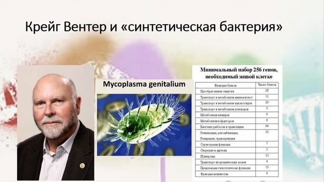 Лекция "Биотехнологии. Какие и зачем?" смотреть онлайн