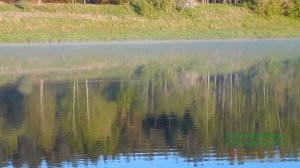 Рыбалка на поплавок.Рыбалка в проводку на течении.Май.