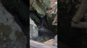 Долина бабочек (Родос, Греция)