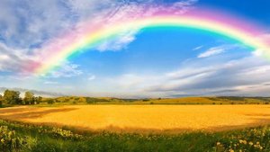 Почему радуга разноцветная